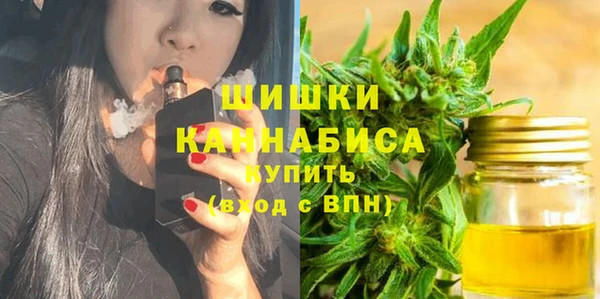 стафф Надым