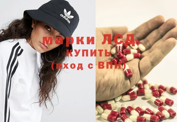 стафф Надым
