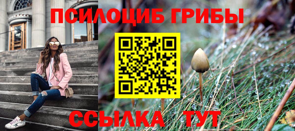Псилоцибиновые грибы Psilocybine cubensis Находка
