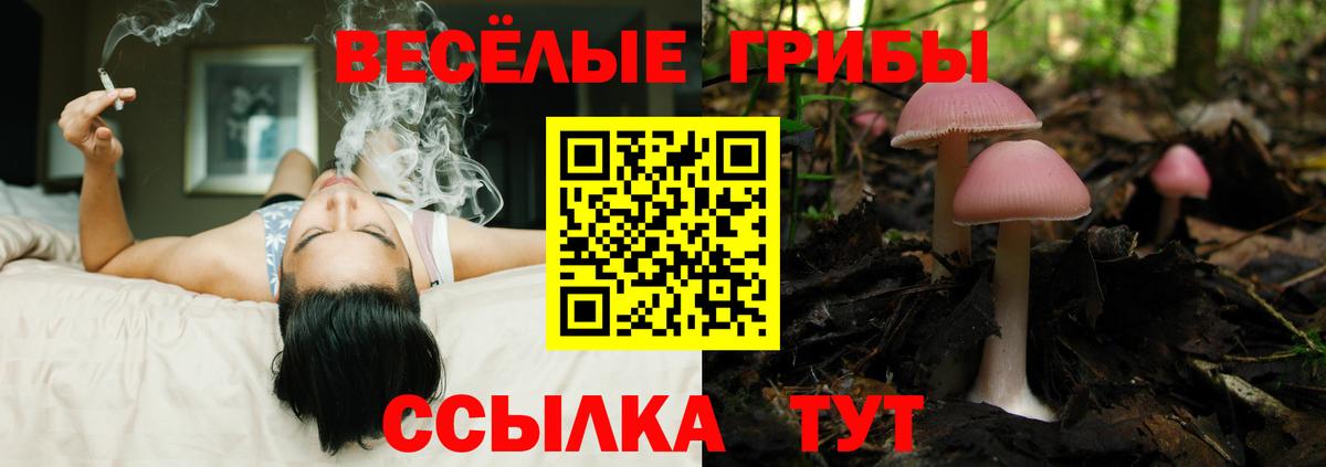Находка  купить наркотик  Вход с VPN  Псилоцибиновые грибы ЛСД 
